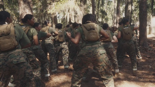 Above, Below, and Beyond: Forged