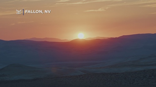 Above, Below, and Beyond: Fallon