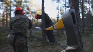 U.S. Marines with MWSS-273 and CLB-6 participate in tree falling operations