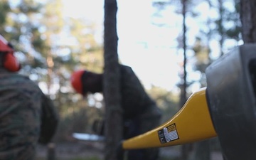 U.S. Marines with MWSS-273 and CLB-6 participate in tree falling operations