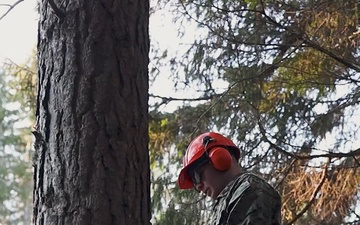 U.S. Marines with MWSS-273 and CLB-6 participate in tree falling operations