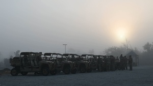 Mosaic Tiger 26-1 Day 4 B-Roll