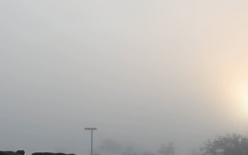 Mosaic Tiger 26-1 Day 4 B-Roll