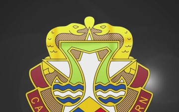 Small Plates, Big Benefits: Why Less Is More at Dinner