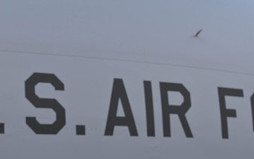 Tigers and Bats patrol Pacific skies: Joint Force in Motion: Marines and Airmen Integrate Over the Pacific