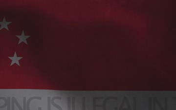 Singapore Vape Guidelines: No Vaping