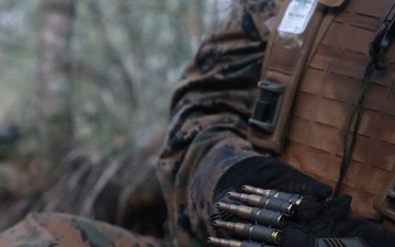 3rd LCT conducts platoon attacks at MCTAB