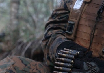 3rd LCT conducts platoon attacks at MCTAB