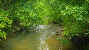 Day in the Life Sarah Atherton