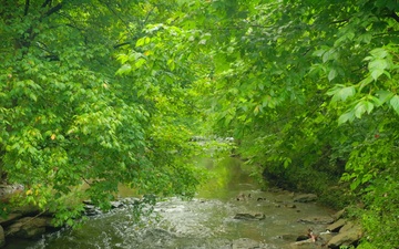 Day in the Life Sarah Atherton