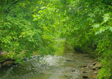 Day in the Life Sarah Atherton