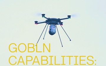 GOBLN_Detection_System