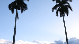 All Services Combatives Tournament 2025