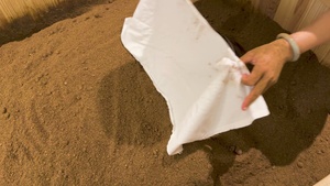 Passport: Rest and Recovery