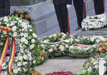 Belgium Celebrates Armistice Day B-Roll