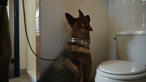 Malmstrom MWD team trains detection with MT Highway Patrol K-9 unit