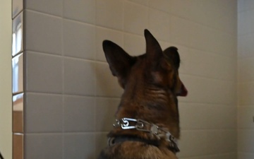 Malmstrom MWD team trains detection with MT Highway Patrol K-9 unit