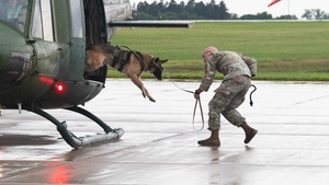 5SFS Conducts Familiarization Training With Military Working Dogs