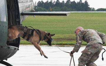 5SFS Conducts Familiarization Training With Military Working Dogs