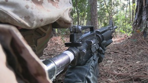 Delta Company Crucible