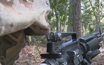 Delta Company Crucible