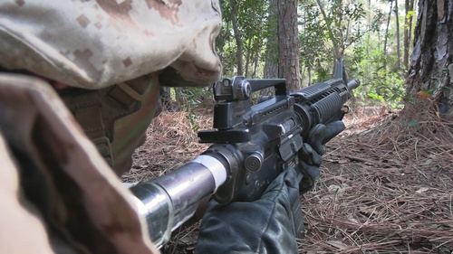 Delta Company Crucible