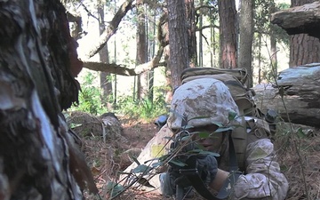 Delta Company Crucible (B-Roll)