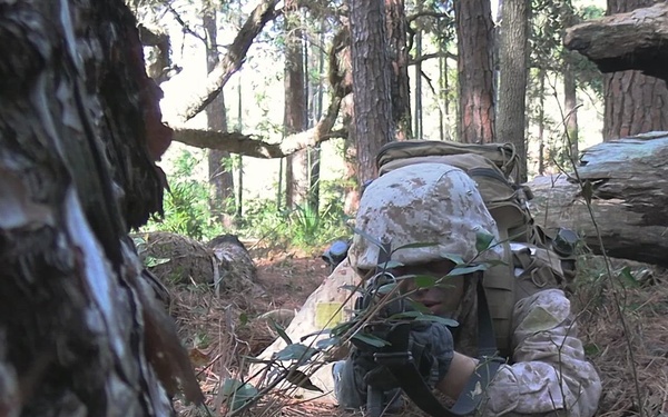 Delta Company Crucible (B-Roll)