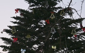 B-Roll: Misawa AB 2025 Tree Lighting Ceremony