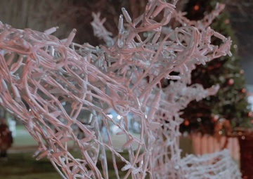 B-Roll: Vicenza Military Community Gathers for USAG Italy’s Annual Tree Lighting Ceremony