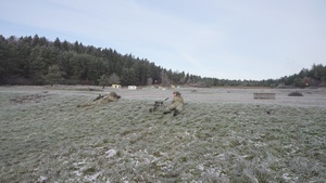 European Best Sniper Team Competition 2025