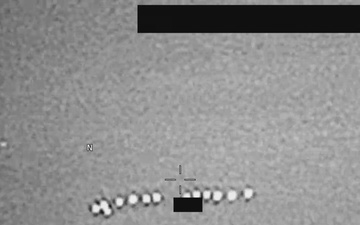 PR-016, Resolved as Birds, Europe 2023