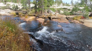 Stream Scene on the Stanislaus National Forest