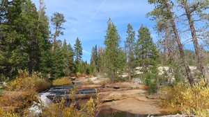Stream Scene on the Stanislaus National Forest