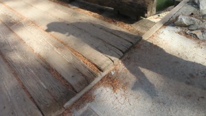 OHV 4x4 Off-roading on the Stanislaus National Forest