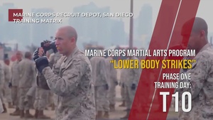 MCMAP Lower Body Strikes - Day T10, Phase One, MCRDSD Training Matrix