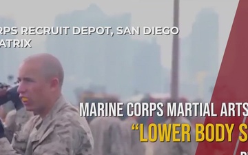 MCMAP Lower Body Strikes - Day T10, Phase One, MCRDSD Training Matrix