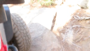 OHV 4x4 Off-roading on the Stanislaus National Forest