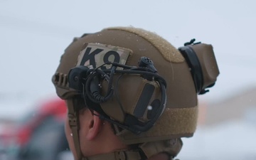 10th Mountain Division K9TCCC: Training Tough Dogs and Tougher Teams