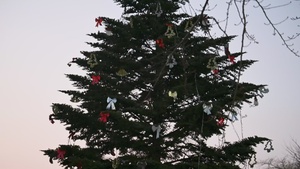 B-Roll: Misawa AB 2025 Tree Lighting Ceremony