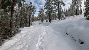 Peak Bagging Pilot Peak