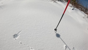 Peak Bagging Pilot Peak