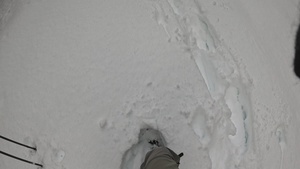 Peak Bagging Pilot Peak