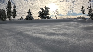 Peak Bagging Pilot Peak