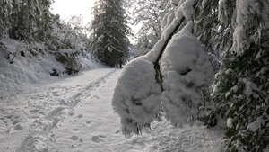 Peak Bagging Pilot Peak