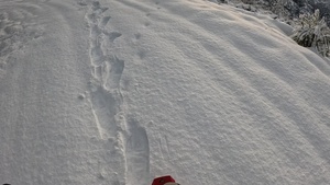 Peak Bagging Pilot Peak