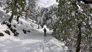 Peak Bagging Pilot Peak