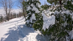 Peak Bagging Pilot Peak