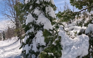 Peak Bagging Pilot Peak