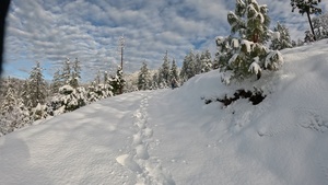 Peak Bagging Pilot Peak